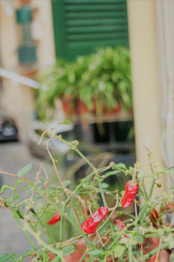 Casa Maria Daire Napoli Dış mekan fotoğraf